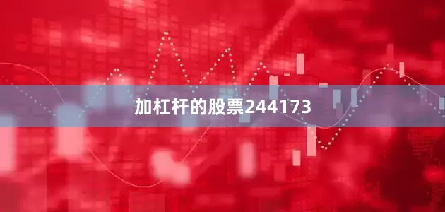 加杠杆的股票244173