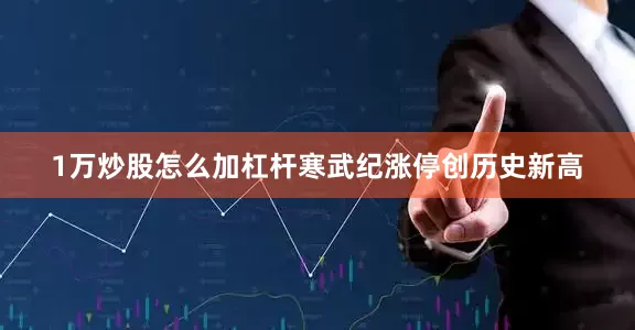 1万炒股怎么加杠杆寒武纪涨停创历史新高