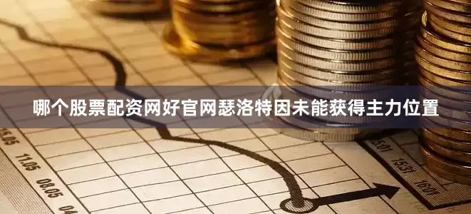 哪个股票配资网好官网瑟洛特因未能获得主力位置